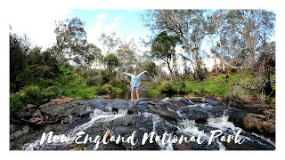 Camping New England National Park Australia | Fishing For Trout In Isolated Streams! Part 1