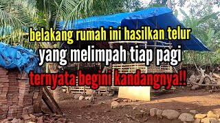 belakang rumah ini hasilkan telur yang melimpah tiap pagi,ternyata begini kandangnya!!