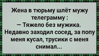 Муж в Тюрьме а Жена с Соседом! Сборник Свежих Анекдотов! Юмор!