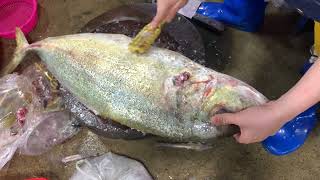 Walking around Fish Market | Vendor Cutting Fish Skill | FLV Official