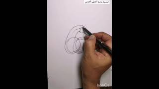 كيف نرسم - كيف نرسم الخيل العربي - عبدالمحسن الطواله