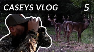 LOTS OF BUCKS AND A SUPER CLOSE ENCOUNTER | Casey's Weekly Vlog