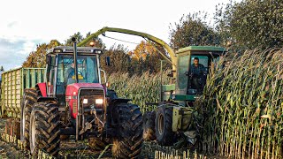 🌽KISZONKA Z KUKURYDZY 2022🔥 ★Zetor, Renault, Massey Ferguson, John Deere.