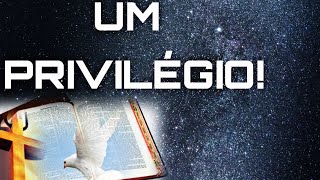 O PRIVILÉGIO DE TER MAIS UM DIA | GRATIDÃO A DEUS #bíblia #mensagem #reflexão #palavra