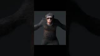 Most terrifying Chimpanzee encounters number 1