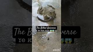 Snake vs frog fight #funny #short