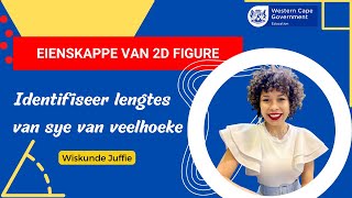 Hoeke in veelhoeke (deel 2) | Eienskappe van 2D figure (2022)