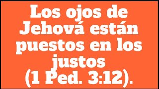 TEXTO DIARIO jw org, MARTES 13 AGOSTO 2024, Los ojos de Jehová están puestos en los justos.