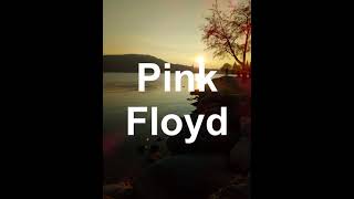 Pink Floyd - Shine On Crazy Diamond  (Part I - IX) - Audio