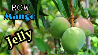 row mango jelly / row mango jam / village cooking channel sri lanka