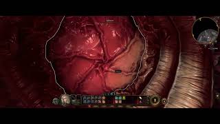 Baldur's Gate 3 Sphincter Anus Door at the start of the game #Baldursgate3