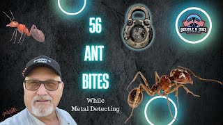 56 Any Bites While Metal Detecting | Vintage Padlock Found