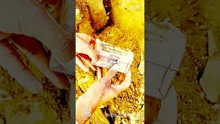 Treasure_finds_moments_#shorts_#metaldetecting(1080p60)