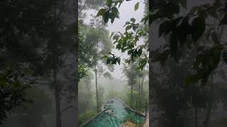 forest infinity pool resort in wayanad meppadi for bookings 6238767247