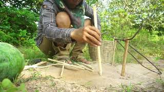 Awesome Wild Chicken Trapping