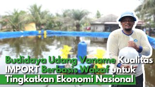 Bertahun-tahun Warga Deliserdang Budidaya Udang, dengan Modal Wakaf Bantu Tingkatkan Kesejahteraan