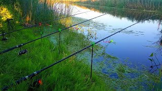 РЫБАЛКА С НОЧЕВКОЙ НА РЕКЕ. Ловля карася и лещя на кормаки