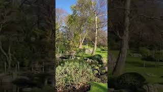 Жизнь в Англии. Куда пойти в Лондоне? Holland Park #shorts