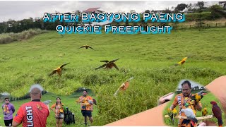 After BAGYONG PAENG Quickie FREELIGHT