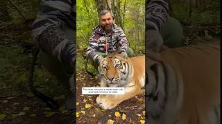 This man rescued a weak tiger cub and took it home to raise. #animalshorts #shortsvideo