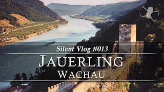 🇦🇹 Jauerling & Ruine Hinterhaus / Wachau | Silent Vlog #013