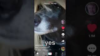 TommyInnit - Mum am I adopted! Dog Edition (TikTok)