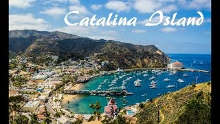 Catalina Island - Travel Diaries with Mitali