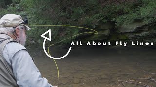 Making Sense of Fly Lines: Options and Applications