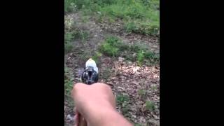 .38 special rat shot vs jug. Read description!!!