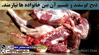 اوج انسانیت: مراد ایر تبعه ترکیه برای خانواده های نیازمند در جاغوری کمک کرد.