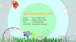 Интро компании Вита Ра