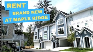 RENT Brand new Townhouse at Pazarena place,  Maple ridge: 3BD/2.5BA