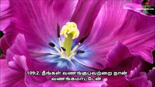 Tamil Quran - Sura 109 Al-Kafiroon (ஸூரத்துல் காஃபிரூன்)