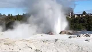 Te Puia Geothermal Reserve Rotorua | Pohutu Geyser | New Zealand