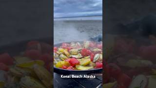 Camping at the Kenai Beach #Alaska