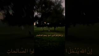 الشيخ عبد الباسط عبد الصمد / تجويد القرآن الكريم / القارئ حامد شاكر نجاد