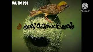 ستوريات واتساب -storiyat watsap