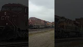 CP 8717 Leads 113.