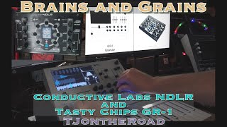 Brains and Grains - Conductive Labs NDLR and Tasty Chips GR-1