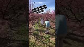 We made a day trip to North Georgia to get some pics of our fam with these peach tree blossoms! 🌸