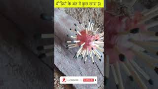 प्याज में आग लगाने का नया तरीका | Innovative Fire in an Onion  #shorts