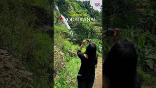 Bali of Tamil Nadu | Kodaikanal waterfalls #trending #shortsvideo #shortsviral #shorts #shortsfeed