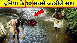 दुनिया के सबसे जहरीले सांप | Most VenomousSnakes in the World | Most Dangerous Snakes