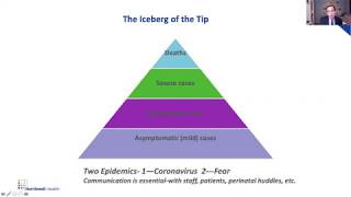 Strategies for the Prenatal, Labor & Delivery, and Postpartum Periods During the COVID-19 Pandemic