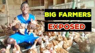 Secrets About Big Farms Exposed | Poultry Farming.