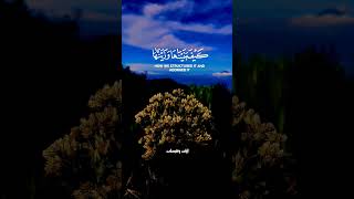 { أَفَلَمۡ یَنظُرُوۤا۟ إِلَى ٱلسَّمَاۤءِ فَوۡقَهُمۡ كَیۡفَ بَنَیۡنَـٰهَا وَزَیَّنَّـٰهَا}