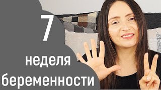 7 неделя беременности • Попасть в роддом в Осло • Пачкающие выделения • Завершение ГВ