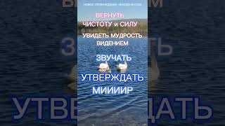 #новое #пробуждение #человечества МИИИИР