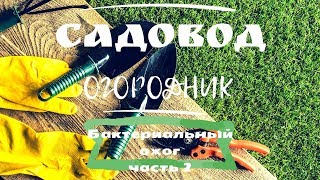 Бактериальный ожог часть 2