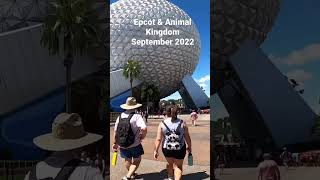 Quick trip to Epcot & Animal Kingdom in September 2022